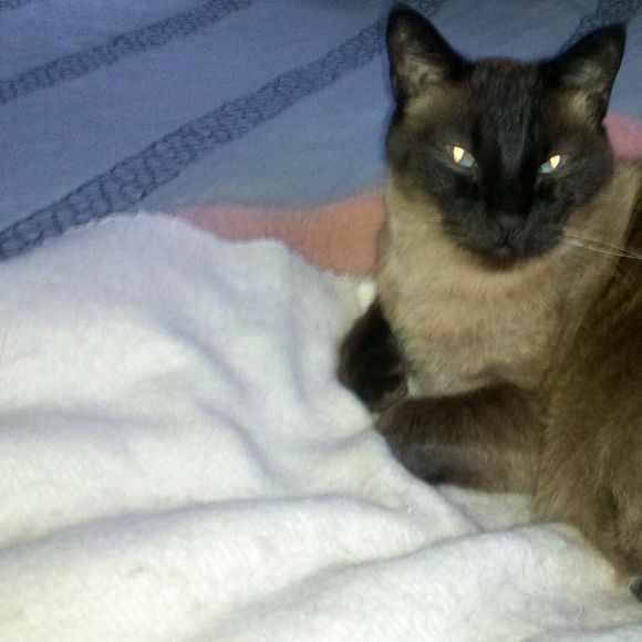 Meet your Posher, Connie - Picture 1 of 1